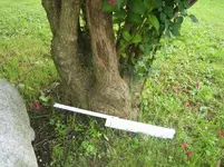 20090527_8535.webp