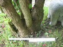 20090527_8538.webp
