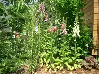 CIMG5900.webp