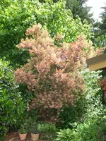 CIMG5907.webp