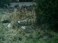 IMAG0960.webp