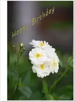 23.06 (26).webp