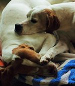 stop snoring please_800.webp
