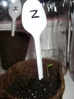 IMGP0005.webp