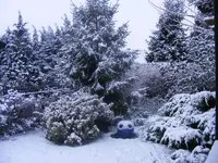 Winter 22.1.2014.webp