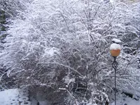 Winter4.22.1.2014.webp