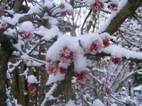 Winter6 22.1.2014.webp