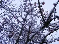 Winter7 22.1.2014.webp