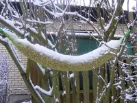 Winter8 22.1.2014.webp