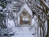 Winter9 22.1.2014.webp