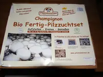 Pilze1.webp