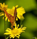 IMG_3086_2.webp
