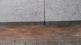 P1010144 (Small).webp