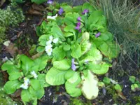 jan05 004.webp