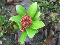 jan05 007.webp