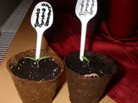 IMGP0011.webp