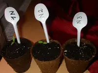 IMGP0019.webp