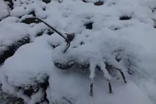 2014_0124winter0012.webp