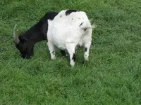 Bild 708.webp