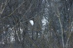 2014_0124winter0034.jpg