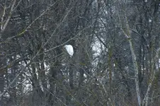 2014_0124winter0034.webp