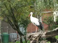 Bild 1172.webp