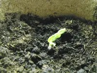 DSCF7092.webp