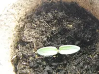 DSCF7094.webp