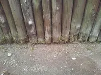 20130803_114957.webp