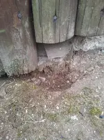 20130803_115336.webp