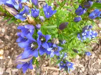 P1020031.webp