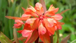 DSCN2488.webp