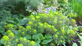 DSCN2413.webp