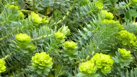 DSCN1991.webp