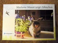 004.webp