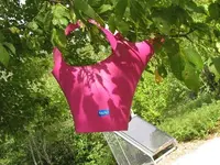 Bild 489.webp