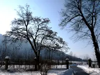 P1050355.webp