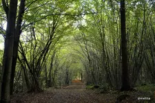 IMG_8054-001.webp