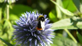 DSCN5196.webp