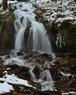 DSC_0594.webp