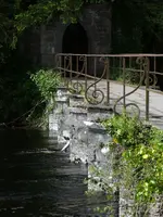 P1090737 (480x640).webp