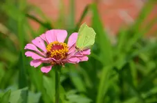 DSC_0345.webp