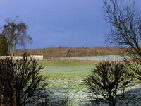 DSCN5337.webp