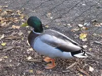 022.webp