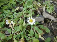 CIMG4531.webp
