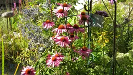 DSCN3576.webp