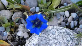 DSCN2039.webp