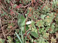 CIMG6584.webp
