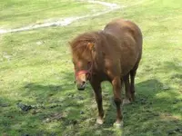 Bild 544.webp