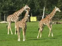 Bild 1215.webp